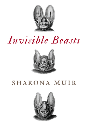 Cover for Invisible Beasts
