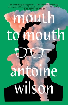 Cover Image for Mouth to Mouth: A Novel
