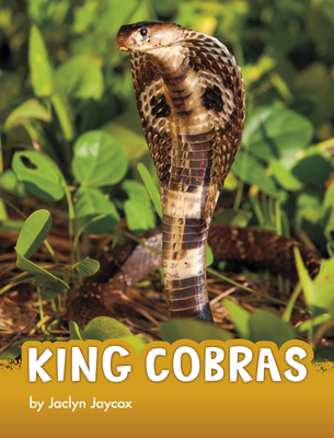 King Cobras (Animals) By Jaclyn Jaycox Cover Image