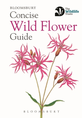 Concise Wild Flower Guide (Concise Guides) Cover Image