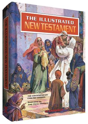 Illustrated New Testament: Contemporary English Version By Jose Perez Montero (Illustrator) Cover Image