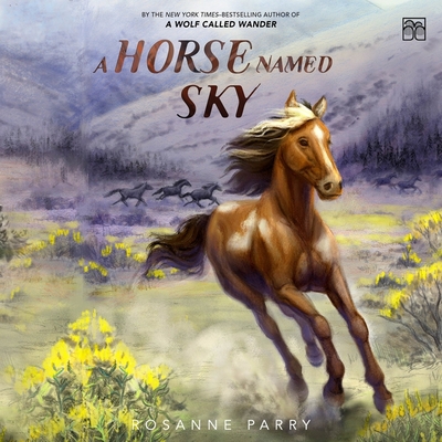 A Horse Named Sky Cover Image