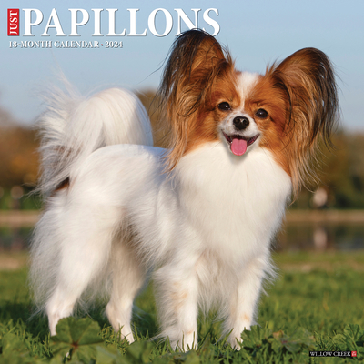 Just Papillons 2024 12 X 12 Wall Calendar By Willow Creek Press Cover Image