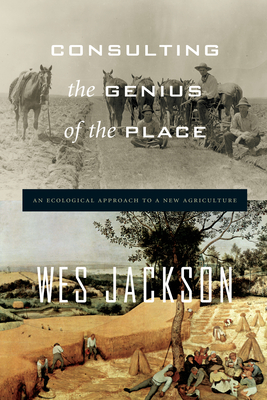 Cover for Consulting the Genius of the Place