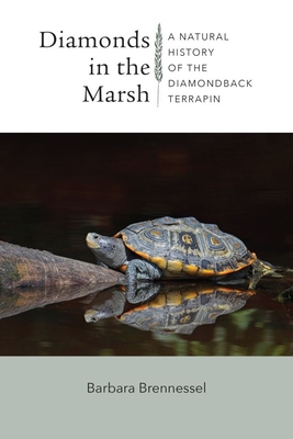 Diamonds in the Marsh: A Natural History of the Diamondback Terrapin By Barbara Brennessel, Bob Prescott (Foreword by) Cover Image