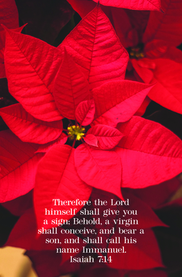 A Sign Bulletin (Pkg 100) Christmas By Broadman Church Supplies Staff (Contribution by) Cover Image