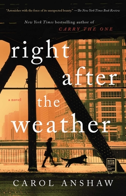Cover for Right after the Weather