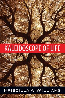 Kaleidoscope of Life Cover Image