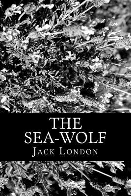 THE SEA    the life &love of 洋書 Amazon.com: The Life & Love of the Sea: 9781419718625