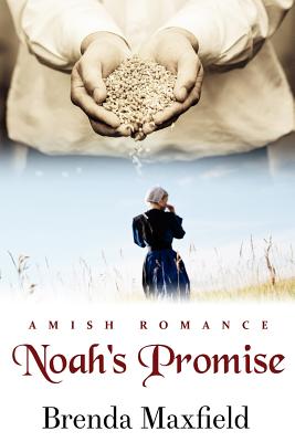 Noah's Promise By Brenda Maxfield Cover Image