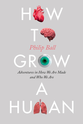 How to Grow a Human: Adventures in How We Are Made and Who We Are By Philip Ball Cover Image