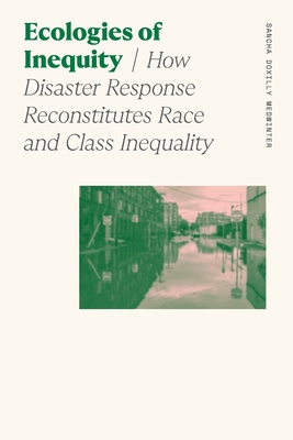 Ecologies of Inequity: How Disaster Response Reconstitutes Race and Class Inequality (Sociology of Race and Ethnicity)