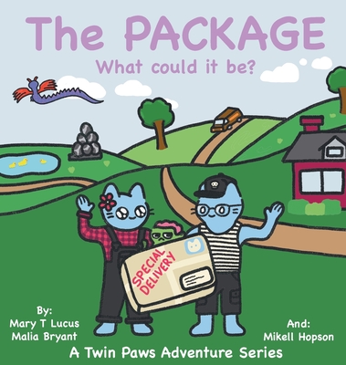 The Package: What could it be? (Twin Paws Adventures)