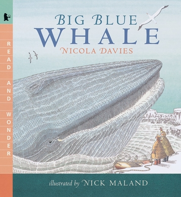 Big Blue Whale: Read and Wonder By Nicola Davies, Nick Maland (Illustrator) Cover Image