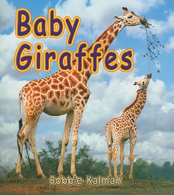 Baby Giraffes Cover Image