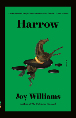 Harrow: A novel (Kirkus Prize) (Vintage Contemporaries) Cover Image