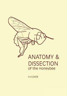 Anatomy and Dissection of the Honeybee Cover Image