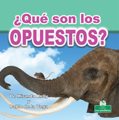 ¿Qué Son Los Opuestos? (What Are Opposites?) By Miranda Kelly, Pablo de la Vega (Translator) Cover Image