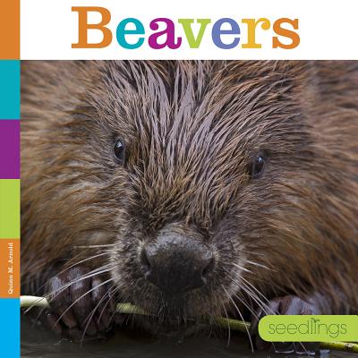 Seedlings: Beavers By Quinn M. Arnold Cover Image