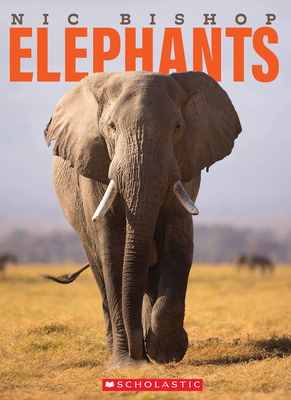 Nic Bishop Elephants By Nic Bishop, Nic Bishop (Illustrator) Cover Image