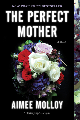 The Perfect Mother: A Novel cover