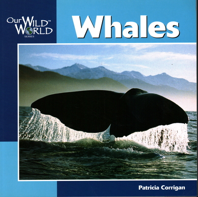 Whales (Our Wild World)