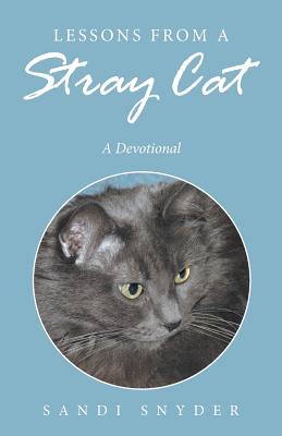 Lessons from a Stray Cat: A Devotional By Sandi Snyder Cover Image