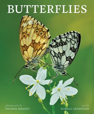Butterflies By Ron Orenstein, Thomas Marent (Photographer) Cover Image