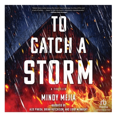 To Catch a Storm Cover Image