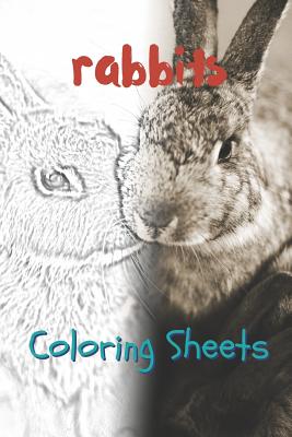Rabbit Coloring Sheets: 30 Rabbit Drawings, Coloring Sheets Adults Relaxation, Coloring Book for Kids, for Girls, Volume 2 By Julian Smith Cover Image
