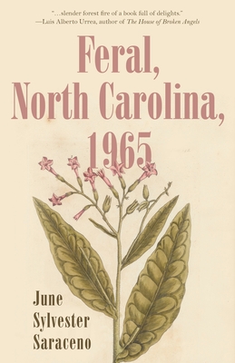 Feral, North Carolina, 1965 By June Sylvester Saraceno Cover Image