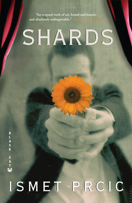 Cover for Shards