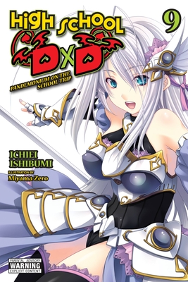 High School DxD, Vol. 9 (light novel) (High School DxD (light novel) #9)  (Paperback)