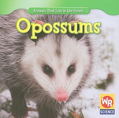 Opossums (Animals That Live in the Forest (Second Edition)) Cover Image