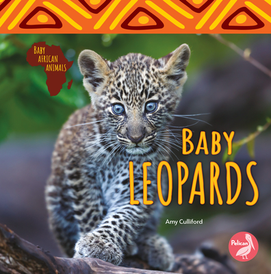 Baby Leopards (Baby African Animals) By Amy Culliford Cover Image