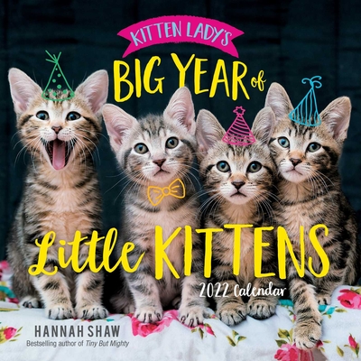 Kitten Lady's Big Year of Little Kittens 2022 Wall Calendar By Hannah Shaw Cover Image