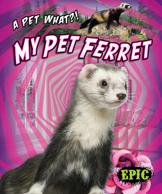 My Pet Ferret By Paige V. Polinsky Cover Image