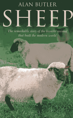 Cover for Sheep