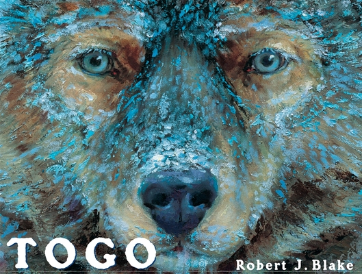 Togo By Robert J. Blake, Robert J. Blake (Illustrator) Cover Image