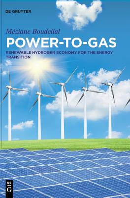Power-To-Gas: Renewable Hydrogen Economy for the Energy Transition Cover Image