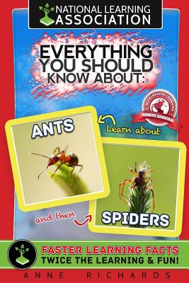 Everything You Should Know About: Ants and Spiders