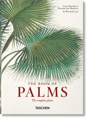 Martius. the Book of Palms. 40th Ed. By H. Walter Lack Cover Image