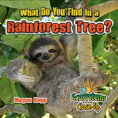 What Do You Find in a Rainforest Tree? (Ecosystems Close-Up)
