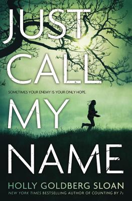 Just Call My Name Cover Image