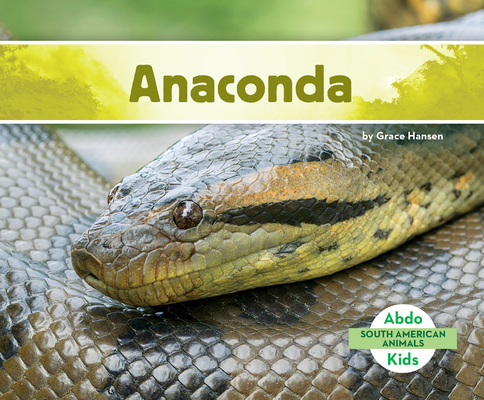 Anaconda (South American Animals) (Library Binding) | Books and Crannies