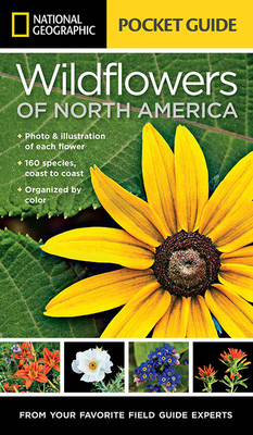 National Geographic Pocket Guide to Wildflowers of North America Cover Image