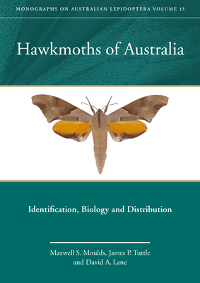 Hawkmoths of Australia: Identification, Biology and Distribution (Monographs on Australian Lepidoptera #13) By Maxwell S. Moulds, James P. Tuttle, David a. Lane Cover Image