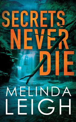 Cover for Secrets Never Die (Morgan Dane #5)
