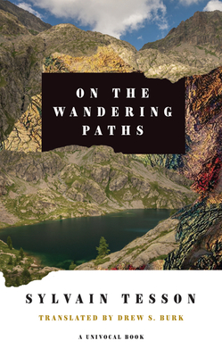 Cover for On the Wandering Paths (Univocal)