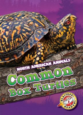 Common Box Turtles (North American Animals) Cover Image